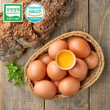 [오늘출발] 난각번호 1번 상황버섯 먹여 키운 무항생제 계란 자연방사 HACCP 유정란