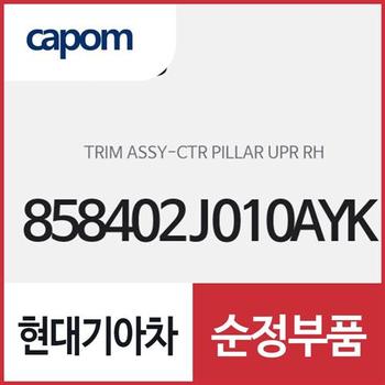 센터 필러 상부 트림,조수석쪽 (858402J010AYK) 모하비