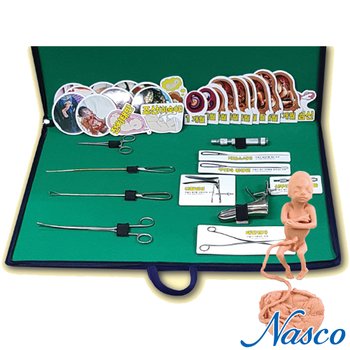 [NASCO]낙태의위험성 태아모형 수술기구 자석차트 3종세트 성교육교재