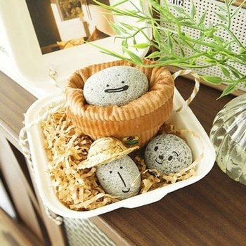 고품질 펫스톤 키우기 애완돌 돌선물 애완돌 반려돌 맹구돌 돌키...