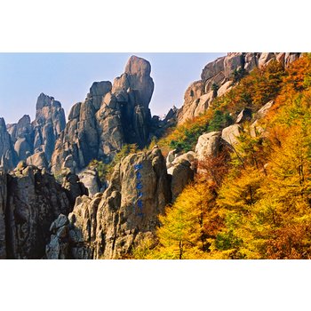 [대구출발] 칭다오(청도) 4일 노산 최고봉(거봉코스) 스타가이드 미식여행 맥주박물관 6가지간식제공 NO쇼핑NO팁