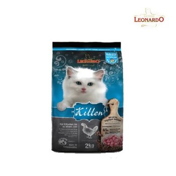 레오나르도 키튼 1.8kg