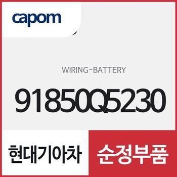 배터리 와이어링 (91850Q5230) 셀토스