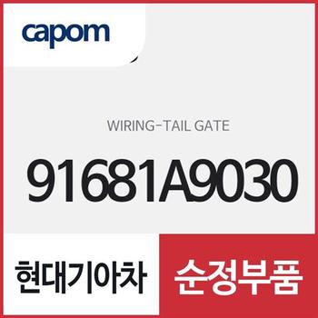 테일 게이트 와이어링 (91681A9030) 카니발