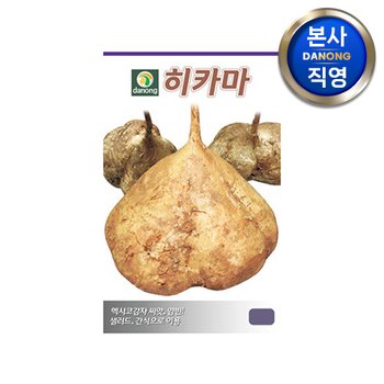 히카마 (얌빈) 씨앗 10g , 원예 야채 채소 텃밭 멕시코 맥시코 감자 씨 종자,