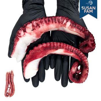 자숙 문어다리 300g 냉동문어 필리핀 문어숙회[35653957]