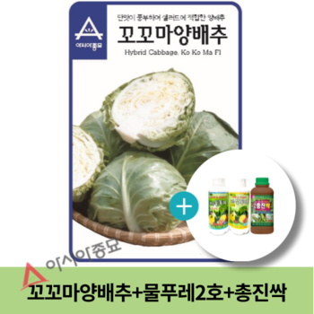 꼬꼬마 양배추 100립 대유 물푸레 2호 총진싹 500ml 세트
