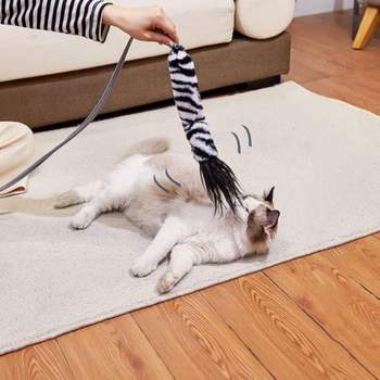애견용품 강아지 고양이 움직이는 장난감 물고기 놀리기