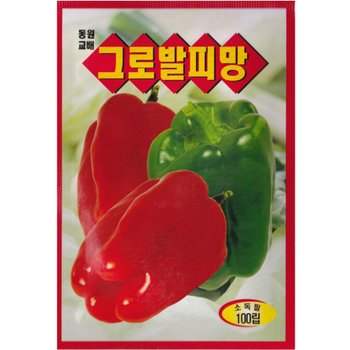 그로발 피망씨앗 100립
