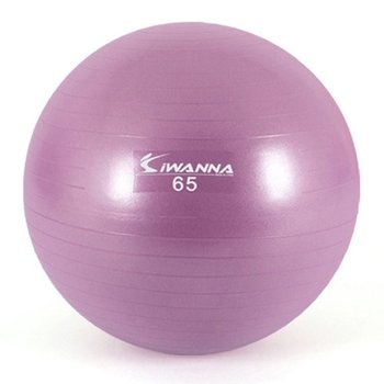 아이워너 안티버스트 짐볼 65cm 라일락 1P 근력 홈트 임산부짐볼 잘안터지는짐볼 짐볼운동
