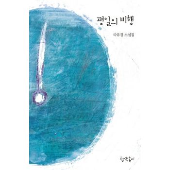 평일의 비행