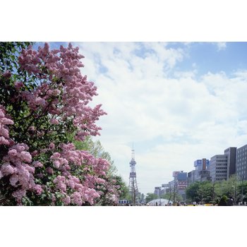 부산[ZE]【봄빛여행】[북해도6대명소] 삿포로/오타루/소운쿄 비에이&후라노 4일▶ 온천1박+오타루1박+삿포로 1박