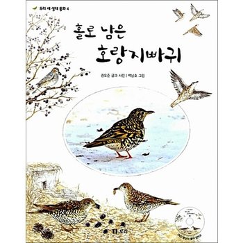 홀로 남은 호랑지빠귀 (책 + DVD 1장)