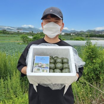 해남 해풍 팥앙금 쑥떡 쑥팥떡 2.5kg (35개입)