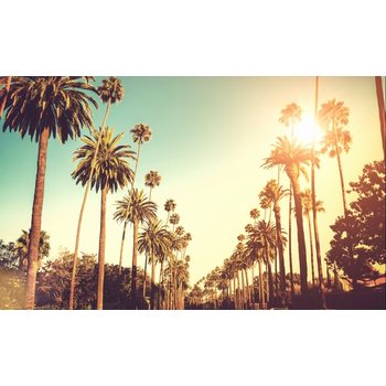 [VIP리무진] 미서부 2대도시 7일LA+라스베가스그랜드캐년+자이언캐년+브라이스캐년+글랜캐년