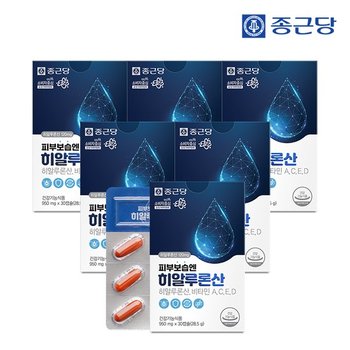 피부보습 엔 히알루론산 950mg X 30캡슐 6박스