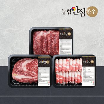 1등급 한우 한 근 구이세트 600g(꽃등심/모듬구이/차돌박이)