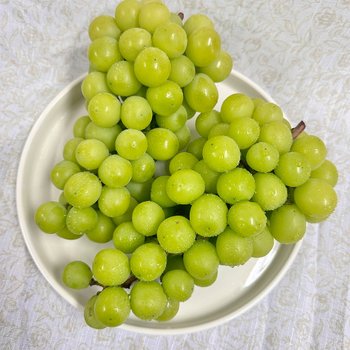 [이푸른] 국내산 샤인머스켓 2kg 4수