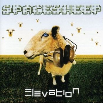 SPACESHEEP - ELEVATION