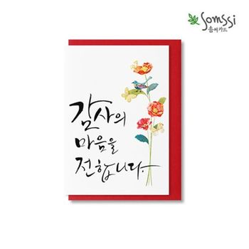 감사의 마음을 전합니다 카드 3P 감사 엽서 엽서카