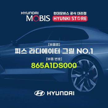 현대모비스피스 라디에이터 그릴 NO.1 (865A1DS000)