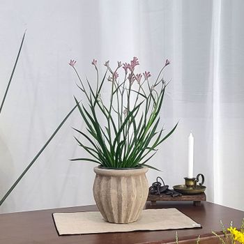 테라원 빈티지 아쿠아 토분 HN30407 14x18cm 플리츠단지