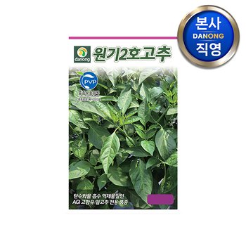 원기2호 고추 씨앗 50립 , 잎고추 고추잎 전용 AGI 함유 다수확 씨 종자,