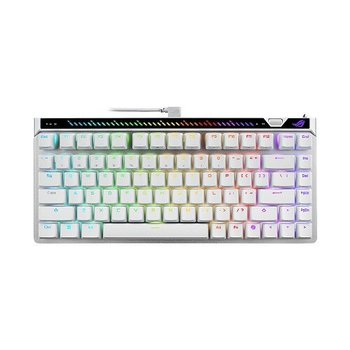 ASUS ROG FALCHION ACE 75HE HFX자석축 한글 화이트, 레피드트리거 V2축 대원씨티에스