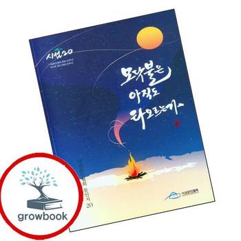 모닥불은 아직도 타오르는가시선문인협회동인지 20 책