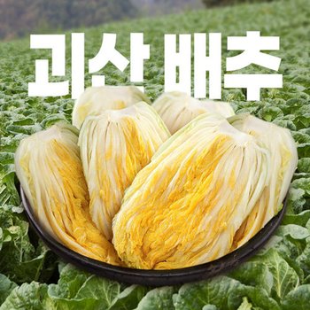 [예약배송] 90일자란 괴산 절임배추 20kg