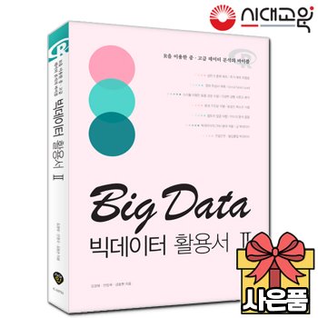 빅데이터활용서 Ⅱ[무료배송]