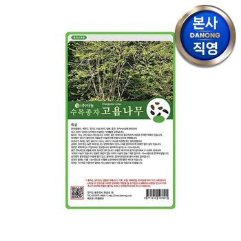 고욤 나무 씨앗 30g . 수목 식물 씨 종자.