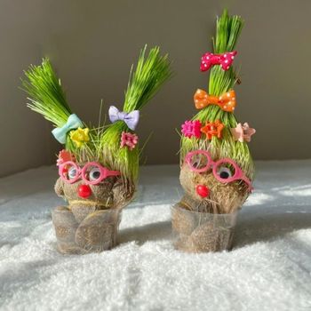 꾸미기 키우기 만들기 반려식물 세트 DIY 잔디 잔디인형 식물