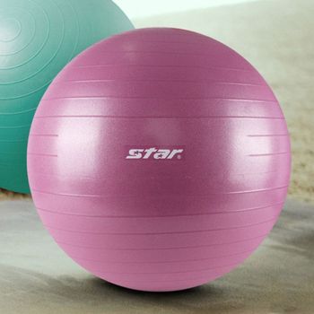 스타 짐볼 ANTI-BURST 65cm 바이올렛 1P 마사지 홈트 스트레칭 운동