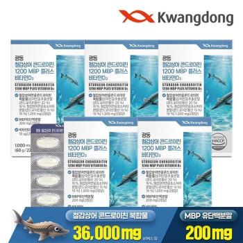 광동 철갑상어 콘드로이친 1200 MBP D3 60정 5박스 / 비타민D 유단백 (S50832454)