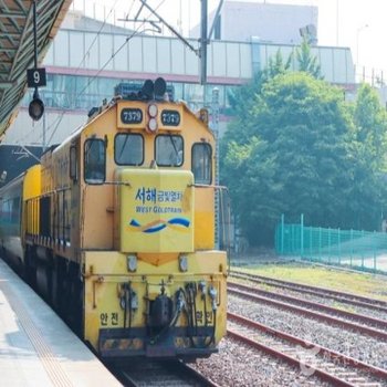 [최소출발인원 20명](전북사랑)[서해금빛열차+KTX]군산 근대의 빛vs전주 감성의 빛