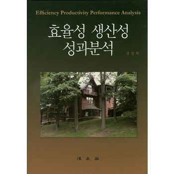 효율성 생산성 성과분석