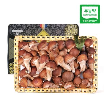[생산자직송] 충북 박대선님의 무농약 VVIP 참송이 버섯 선물세트