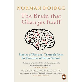 The Brain That Changes Itself