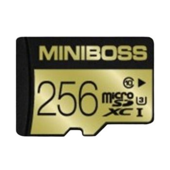 테라토닉 미니보스 MicroSDXC UHS-I Class10 MLC 256GB