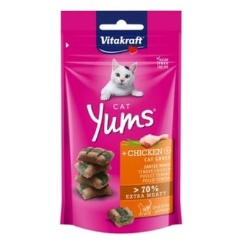 고양이 HAVC8861 캣얌 치킨 캣그라스 40g 1P 헤어볼방지 간식