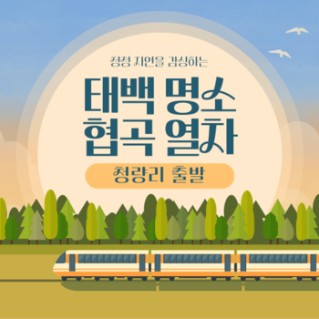 무궁화호 태백 명소·협곡 열차 기차 여행(청량리 출발)