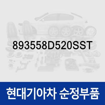프레임-암 레스트,좌측 (893558D520SST)