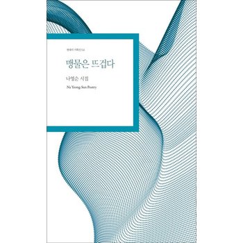 맹물은 뜨겁다 - 현대시 기획선 54