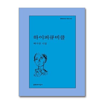 하이퍼큐비클 (문학과지성 시인선 612)