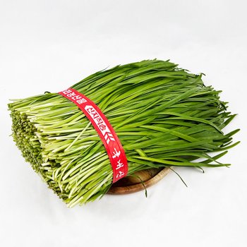 국내산 부추(대) 정구지 새벽경매 1단 (약 1kg)