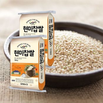 국산 현미찹쌀 20kg(10kg/2개) 햅쌀[35779371]