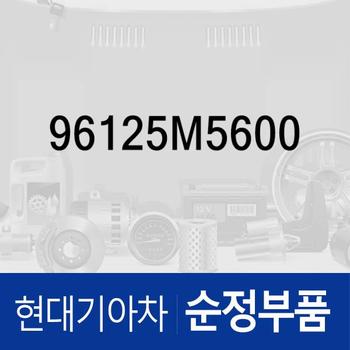 차저-USB (96125M5600) 넥쏘 수소전기차 FE