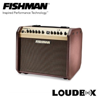 피시맨 라우드박스 블루투스 기타앰프 LOUDBOX MINI BT