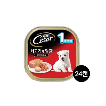 아트박스/시저 시저 퍼피 쇠고기와달걀 100g 24개